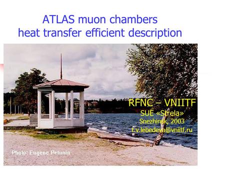 ATLAS muon chambers heat transfer efficient description RFNC – VNIITF SUE «Strela» Snezhinsk, 2003