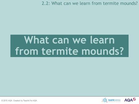 What can we learn from termite mounds?