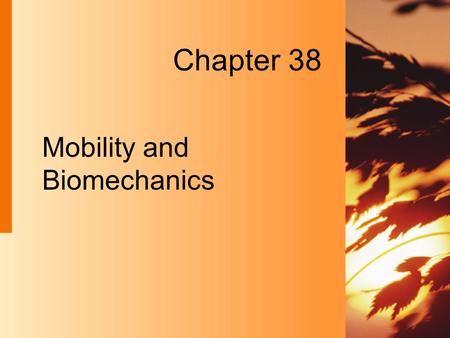 Chapter 38 Mobility and Biomechanics. 38-2 Copyright 2004 by Delmar Learning, a division of Thomson Learning, Inc. Overview of Mobility  Mobility Ability.