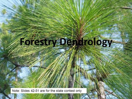 Forestry Dendrology Note: Slides 42-51 are for the state contest only.