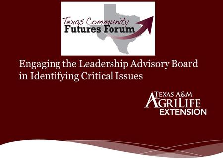 Engaging the Leadership Advisory Board in Identifying Critical Issues.
