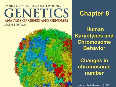 Chapter 8 Human Karyotypes and Chromosome Behavior Changes in chromosome number Jones and Bartlett Publishers © 2005.
