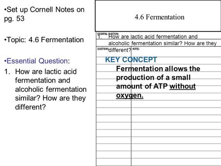 Set up Cornell Notes on pg. 53