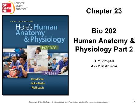 Human Anatomy & Physiology Part 2