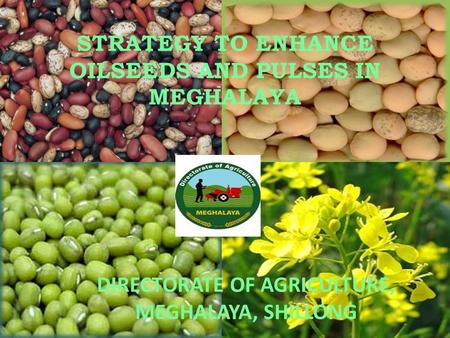STRATEGY TO ENHANCE OILSEEDS AND PULSES IN MEGHALAYA DIRECTORATE OF AGRICULTURE, MEGHALAYA, SHILLONG.