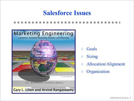 Salesforce Issues Goals Sizing Allocation/Alignment Organization 1.