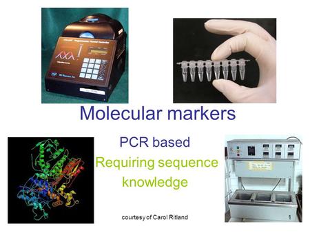 PCR based Requiring sequence knowledge