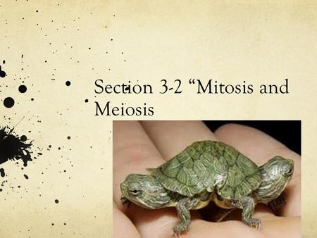 Section 3-2 “Mitosis and Meiosis. REVIEW QUESTION 1 _____________________ is a biological process by which a cell divides into two or more cells. A.)