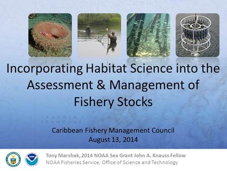 Incorporating Habitat Science into the Assessment & Management of Fishery Stocks Caribbean Fishery Management Council August 13, 2014 Change presenter.
