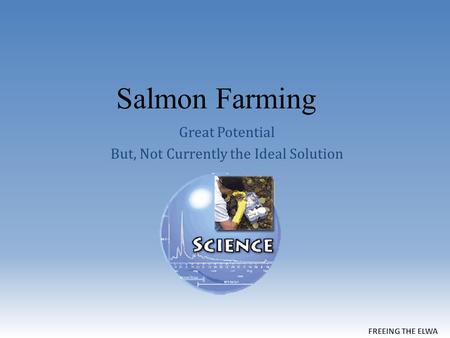 Salmon Farming Great Potential But, Not Currently the Ideal Solution.