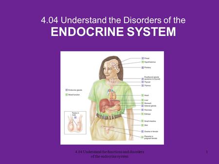 4.04 Understand the Disorders of the ENDOCRINE SYSTEM