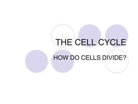 THE CELL CYCLE HOW DO CELLS DIVIDE?.