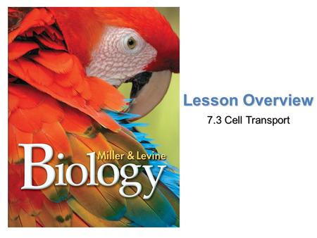 Lesson Overview 7.3 Cell Transport.