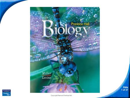 Slide 1 of 37 Copyright Pearson Prentice Hall Biology.