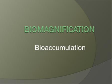 Biomagnification Bioaccumulation.