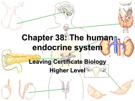 Chapter 38: The human endocrine system Leaving Certificate Biology Higher Level.