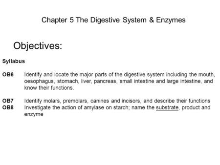 Chapter 5 The Digestive System & Enzymes Objectives: Syllabus OB6Identify and locate the major parts of the digestive system including the mouth, oesophagus,