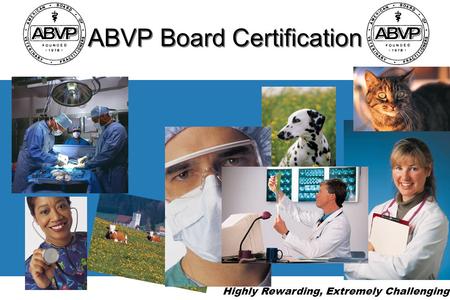 ABVP Board Certification Highly Rewarding, Extremely Challenging.