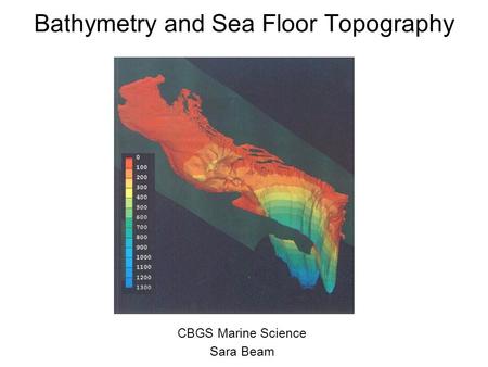 Bathymetry and Sea Floor Topography CBGS Marine Science Sara Beam.