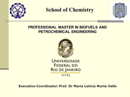PROFESSIONAL MASTER IN BIOFUELS AND PETROCHEMICAL ENGINEERING Executive Coordinator: Prof. Dr Maria Letícia Murta Valle School of Chemistry.