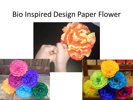 Bio Inspired Design Paper Flower. Main Lesson Objectives 1.Identify the common structures of a plant 2.Understand how these common plant elements function.