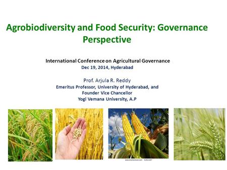 Agrobiodiversity and Food Security: Governance Perspective International Conference on Agricultural Governance Dec 19, 2014, Hyderabad Prof. Arjula R.