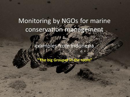 Monitoring by NGOs for marine conservation management – examples from Indonesia “The big Grouper in the room”