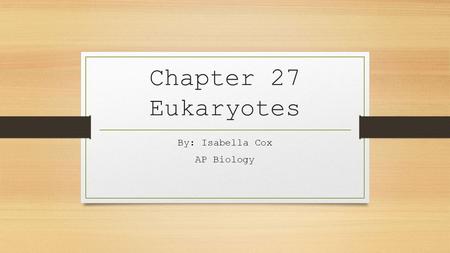 Chapter 27 Eukaryotes By: Isabella Cox AP Biology.