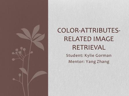 Student: Kylie Gorman Mentor: Yang Zhang COLOR-ATTRIBUTES- RELATED IMAGE RETRIEVAL.