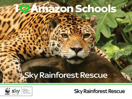 Young Reporters Competition. The Amazon The Amazon rainforest is the biggest rainforest in the world.