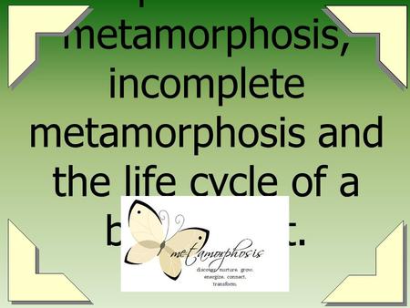 What is Metamorphosis Metamorphosis is the transformation that occurs in the life cycle of many arthropods from egg through the larval and pupal stages.