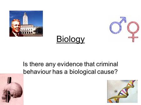 Is there any evidence that criminal behaviour has a biological cause?