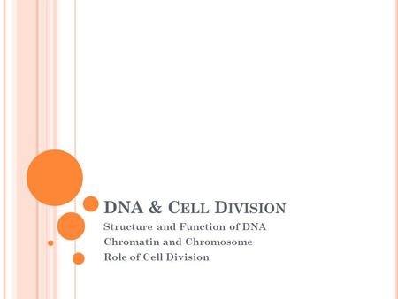 DNA & C ELL D IVISION Structure and Function of DNA Chromatin and Chromosome Role of Cell Division.