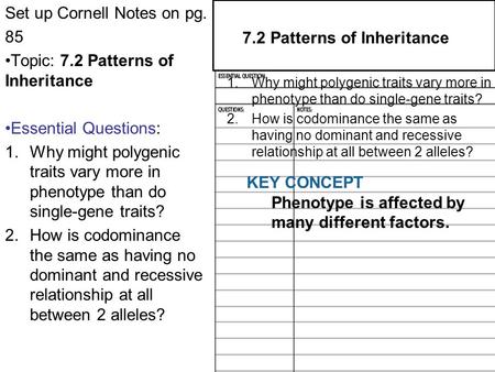 Set up Cornell Notes on pg. 85 Topic: 7.2 Patterns of Inheritance