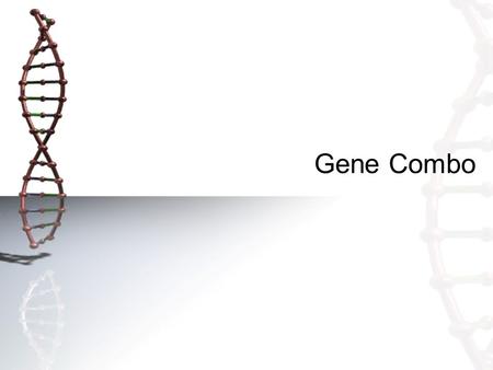 Gene Combo. Gene Combo – 2-5-15 Key Question: How do genes determine a trait? What happens to the parent’s gene that doesn’t show? Initial thoughts: