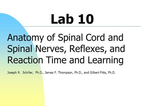 Lab 10 Anatomy of Spinal Cord and Spinal Nerves, Reflexes, and Reaction Time and Learning Joseph R. Schiller, Ph.D., James F. Thompson, Ph.D., and Gilbert.