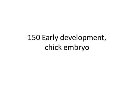 150 Early development, chick embryo