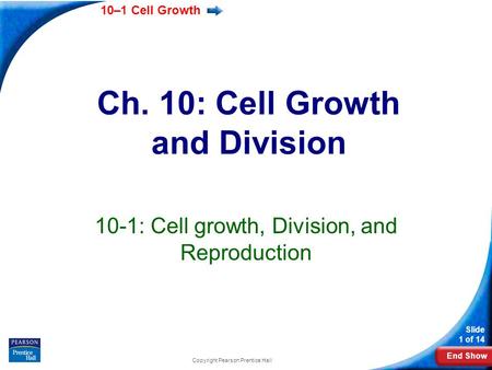Ch. 10: Cell Growth and Division