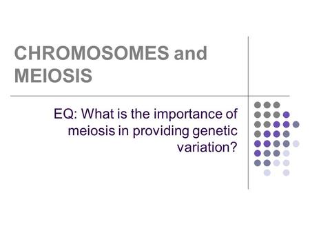 CHROMOSOMES and MEIOSIS