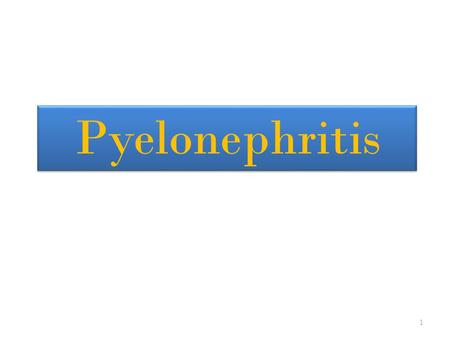 Pyelonephritis.