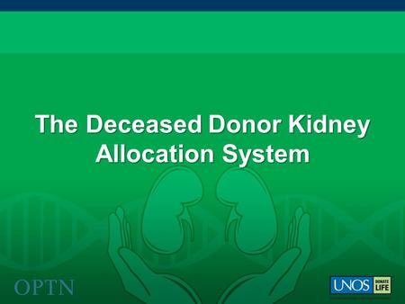 The Deceased Donor Kidney Allocation System