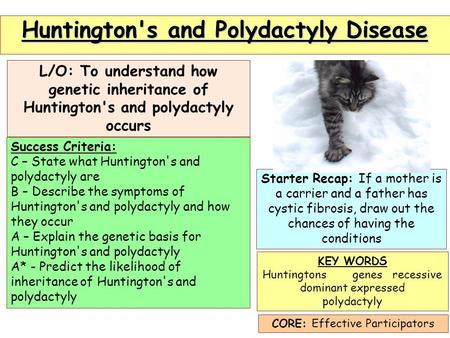 Huntington's and Polydactyly Disease L/O: To understand how genetic inheritance of Huntington's and polydactyly occurs Starter Recap: If a mother is a.