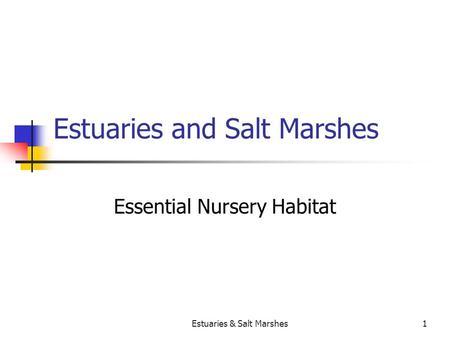 Estuaries & Salt Marshes1 Estuaries and Salt Marshes Essential Nursery Habitat.