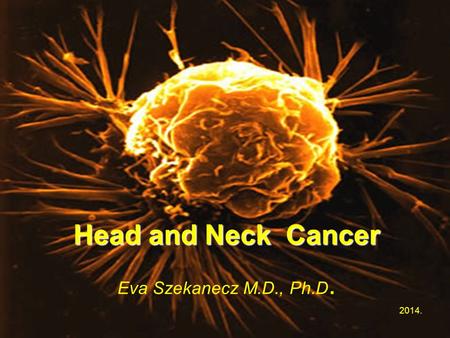 Dr. Szekanecz Éva Head and Neck Cancer Eva Szekanecz M.D., Ph.D. 2014.