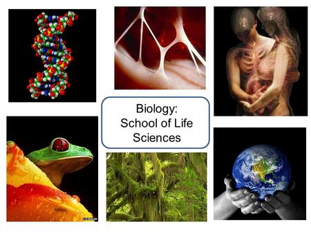 Biology: School of Life Sciences. Tutorials and Practical work Extensive Tutorial system Small groups (4-5 students) Every week in Year 1, with Personal.