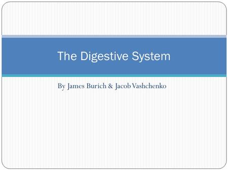 By James Burich & Jacob Vashchenko The Digestive System.