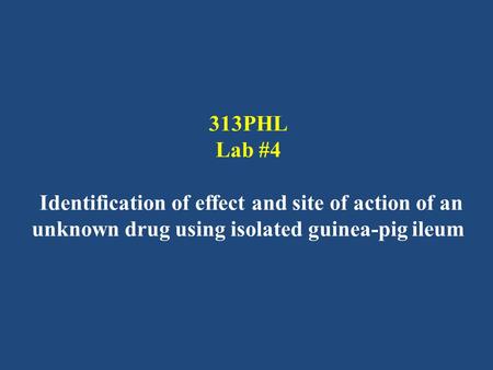 313PHL Lab #4 Identification of effect and site of action of an unknown drug using isolated guinea-pig ileum.