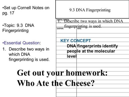 9.1 Manipulating DNA Set up Cornell Notes on pg. 17 Topic: 9.3 DNA Fingerprinting Essential Question: 1.Describe two ways in which DNA fingerprinting is.