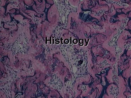Histology.