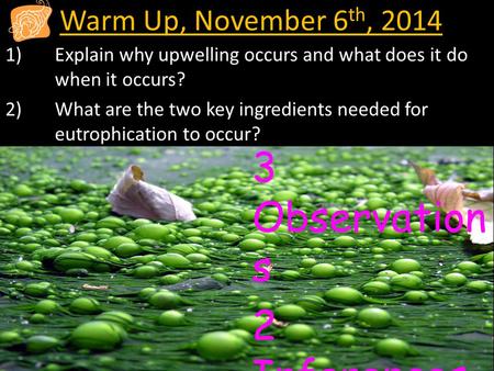 Warm Up, November 6 th, 2014 1)Explain why upwelling occurs and what does it do when it occurs? 2)What are the two key ingredients needed for eutrophication.
